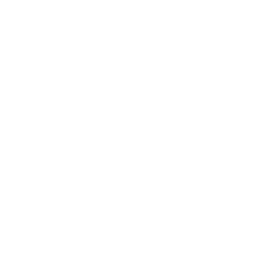 Fédération Française des Sports de Glace